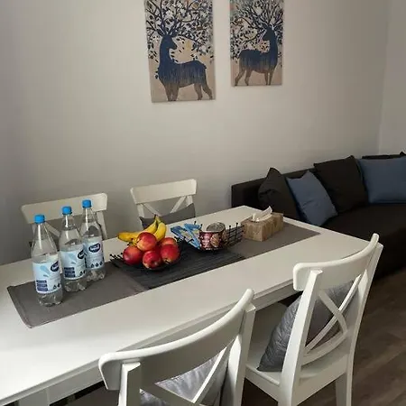Apartman 3 - 20 Km Dus Airport/messe