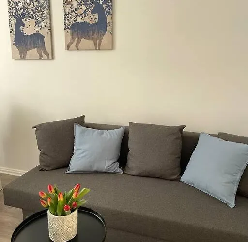 3 - 20 Km Dus Airport/messe